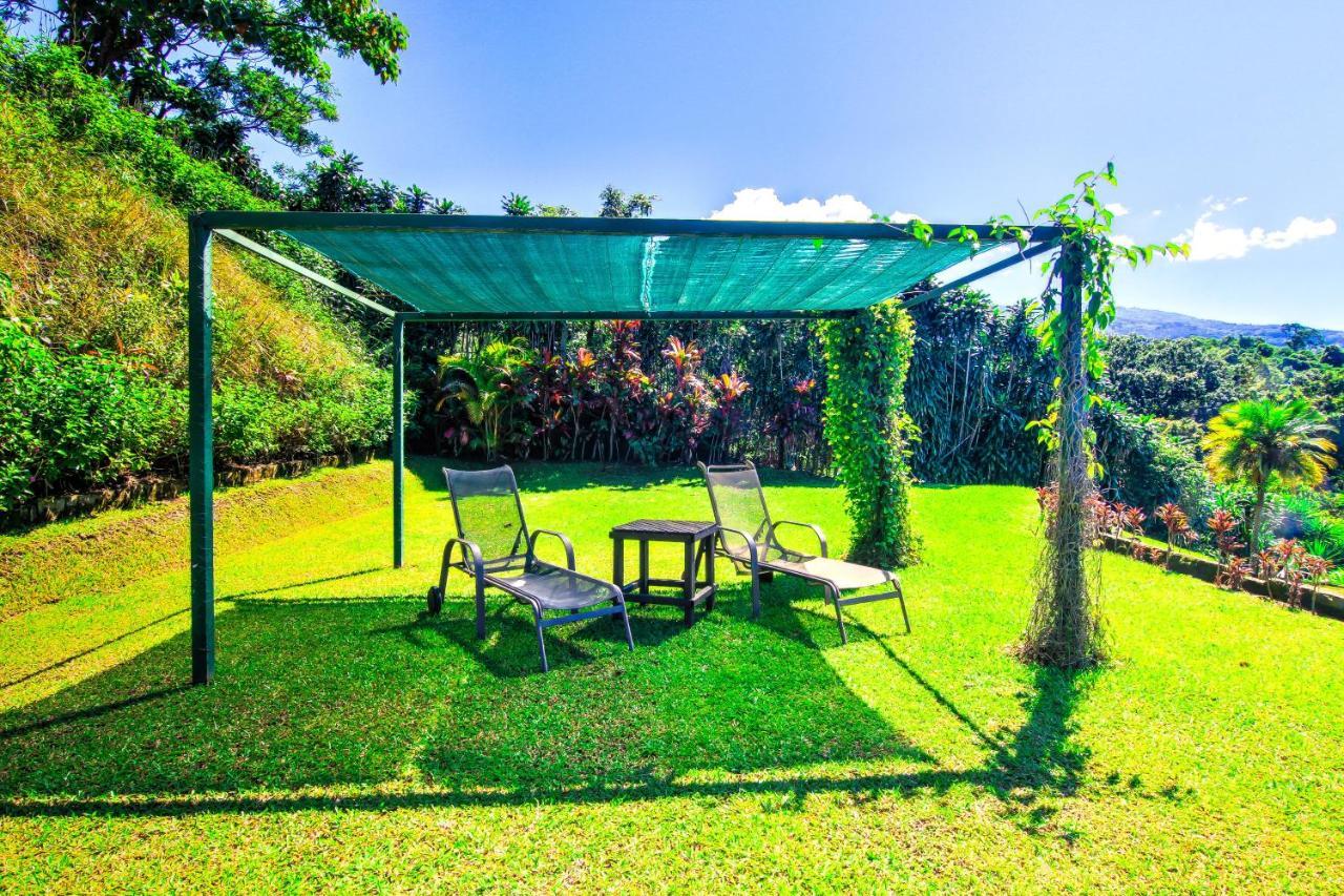 Hotel Mango Valley 그레시아 외부 사진